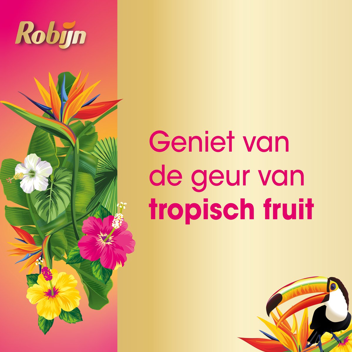 Robijn Klein & Krachtig Collections Vloeibaar Wasmiddel - Tropical - 4 x 19 wasbeurten - Voordeelverpakking - Image 3